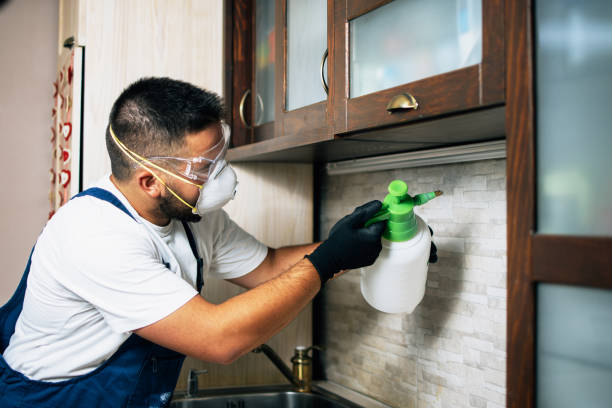 Best Pest Control Near Me  in Levittown, NY