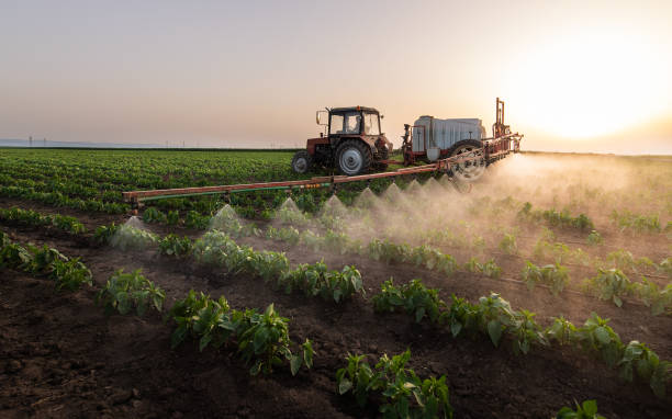 Professional Pest Control in Levittown, NY