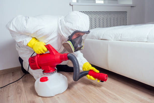 Best Affordable Pest Control Services  in Levittown, NY