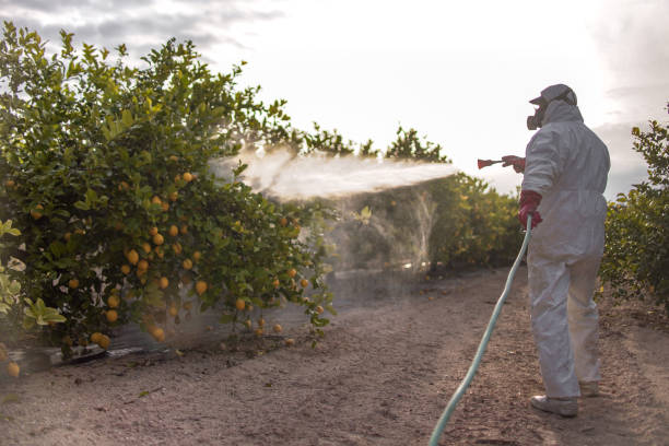 Best Commercial Pest Control Services  in Levittown, NY