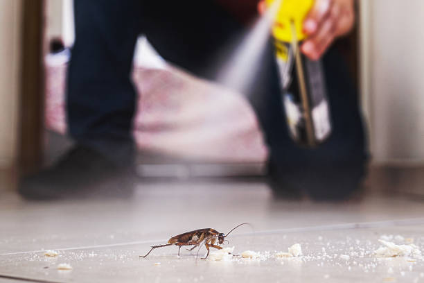 Pest Prevention Services in Levittown, NY