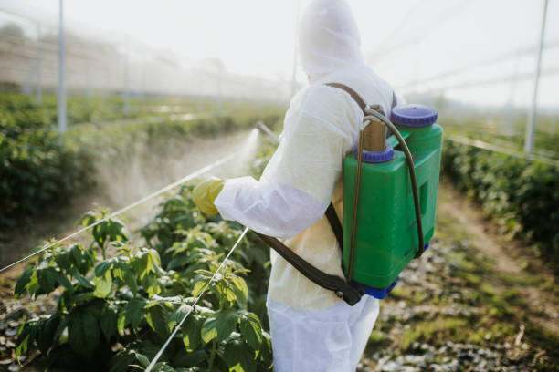 Best Emergency Pest Control  in Levittown, NY